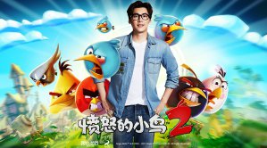 暴風(fēng)戰(zhàn)機