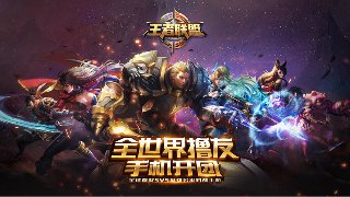 雙貓戰(zhàn)士2