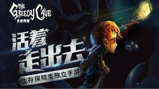 海豚表演賽